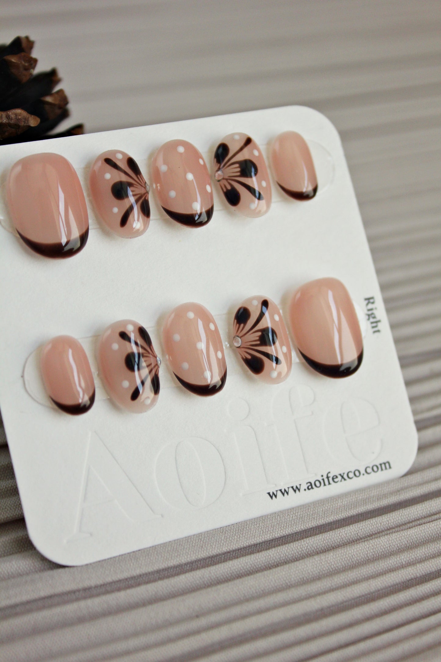 Cocoa Bloom